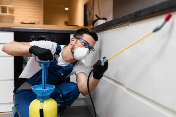 Best Residential Pest Control  in Cedar Crest, MA