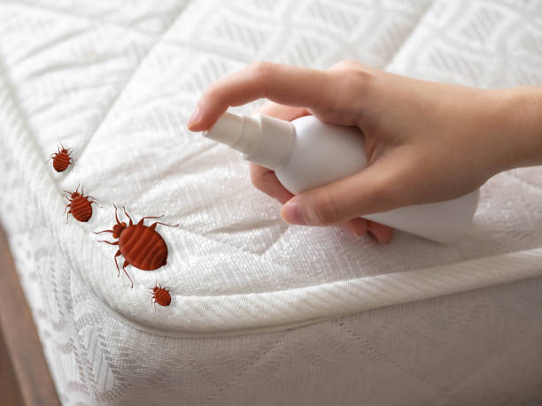 Cedar Crest, MA Pest Control Company